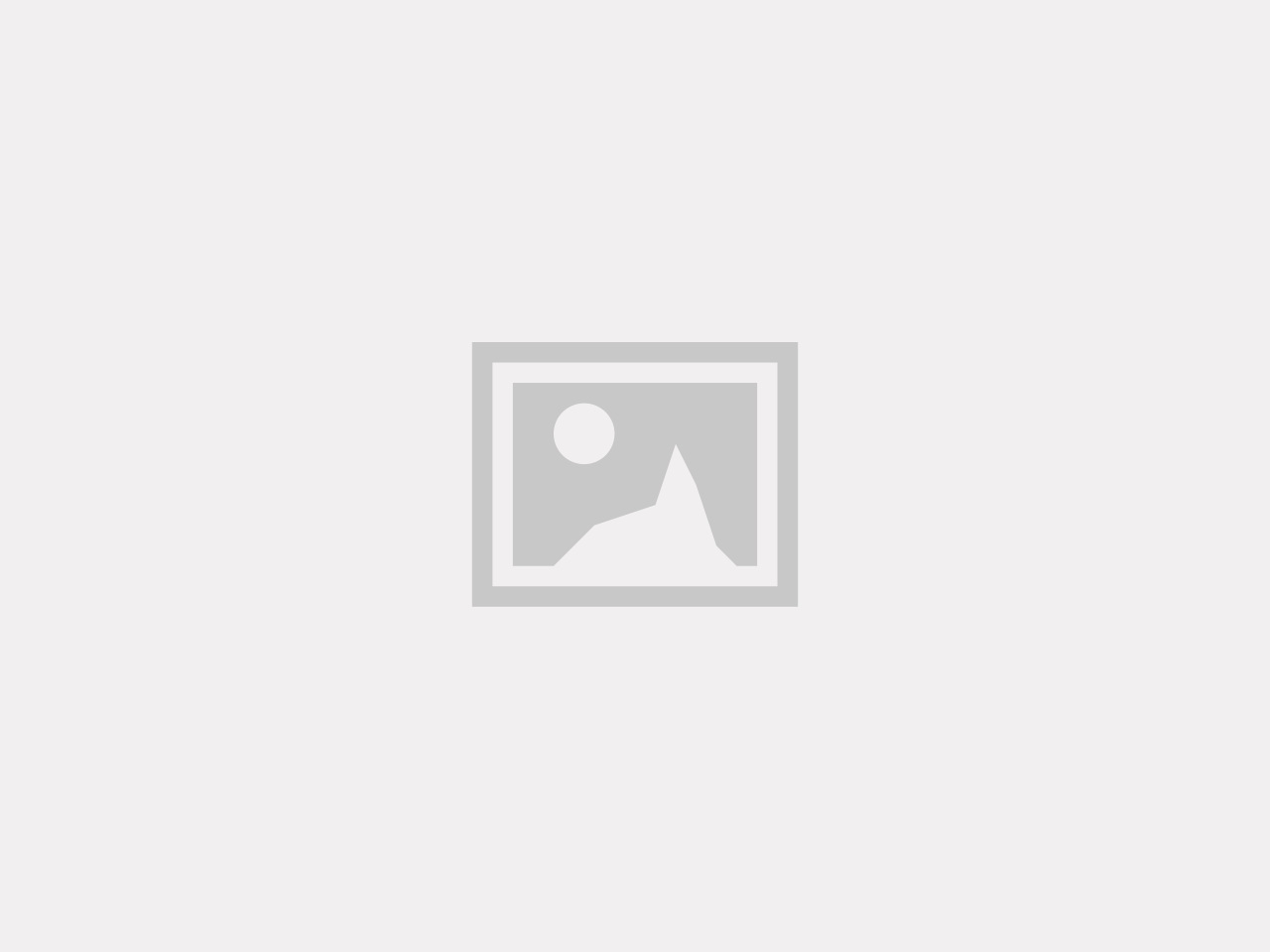 POS SmallRig Logo Wristband